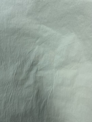 40D*40D Tecido de nylon 100%N 90GSM
