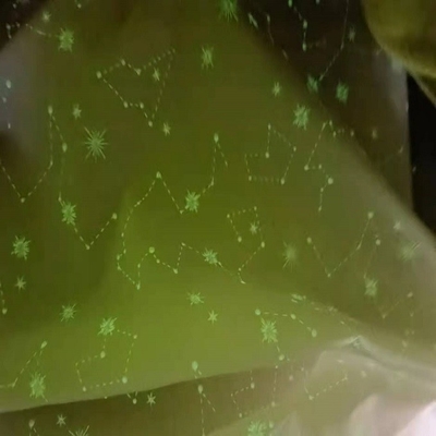 35gsm enrugam as telas luminosas tecidas tafetá de nylon da tela 100 de nylon de Taslon